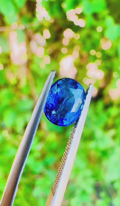 1.79 ct Natural Blue Sapphire Certified